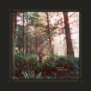 Albumcover «Seed of a Seed» von Haley Heynderickx