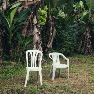 Albumcover «Debí Tirar Más Fotos» von Bad Bunny