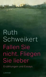 Buchcover von «Fallen Sie nicht. Fliegen Sie lieber»