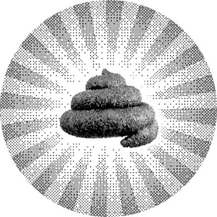 Illustration eines Fäkalien-Haufen