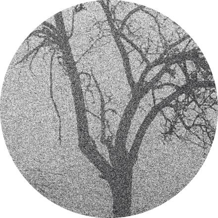 stilisiertes Foto eines Baumes