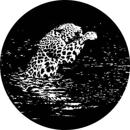 stilisiertes Foto eines Leoparden im Wasser