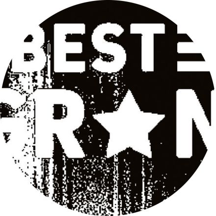 stilisierter Ausschnitt aus einem Werbeplakat für die TV-Serie «The Best Immigrant»