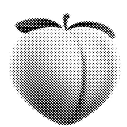 stilisiertes Foto eines Pfirsich in Herzform