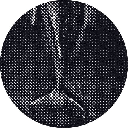 stilisierter Ausschnitt aus einem Foto des gestrandeten Buckelwals