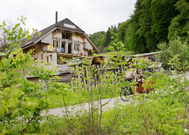 first image of the article