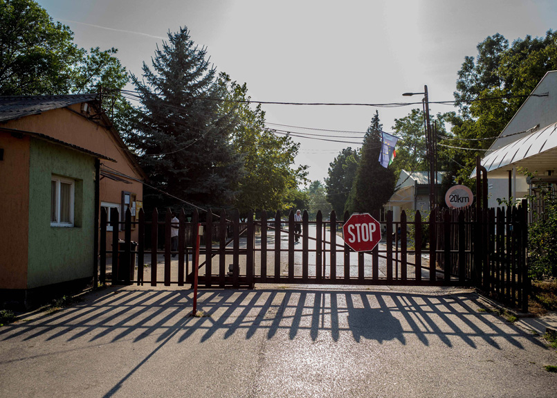 first image of the article