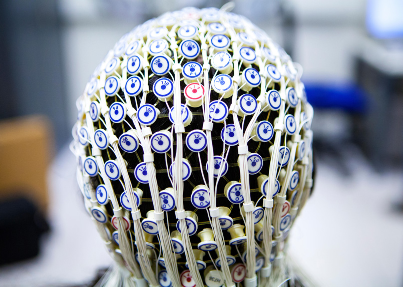 first image of the article