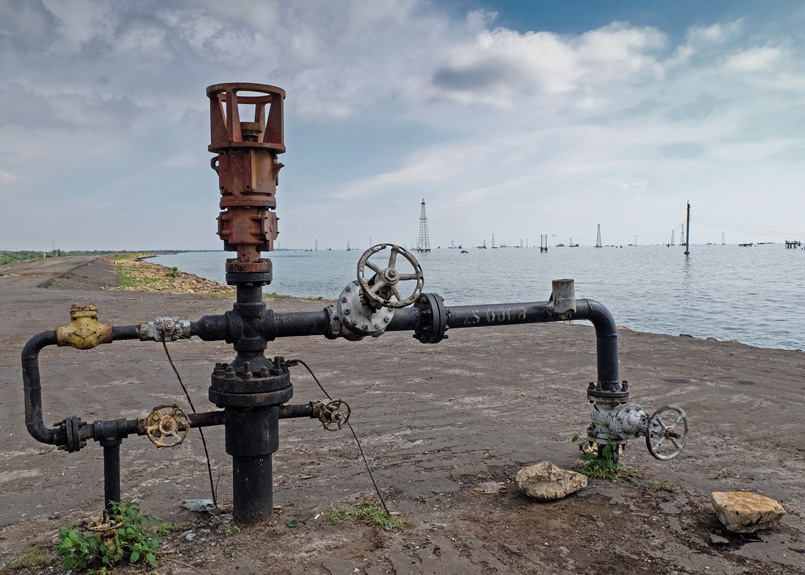 first image of the article