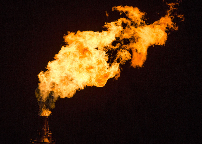 first image of the article