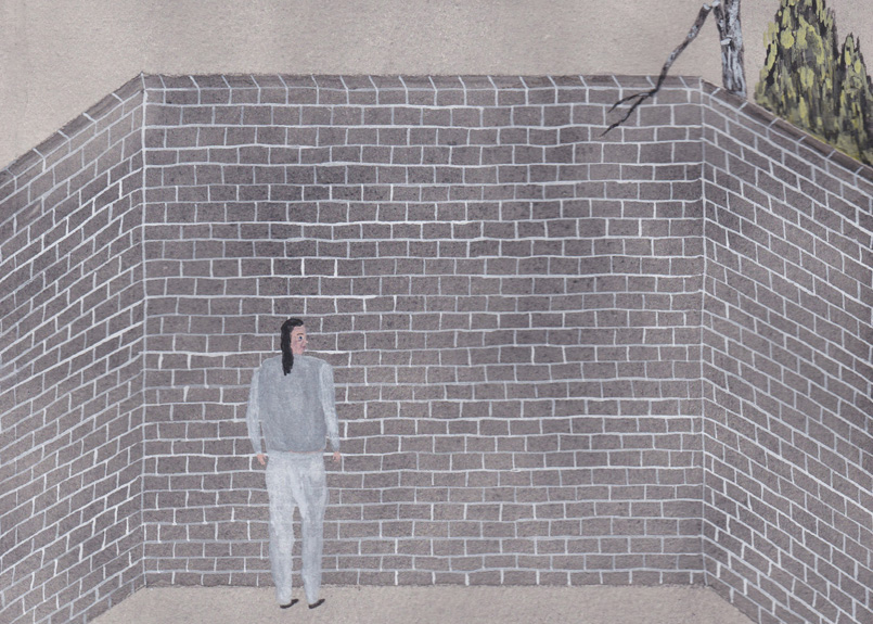 first image of the article