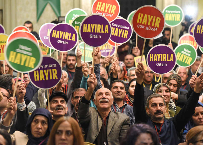 first image of the article