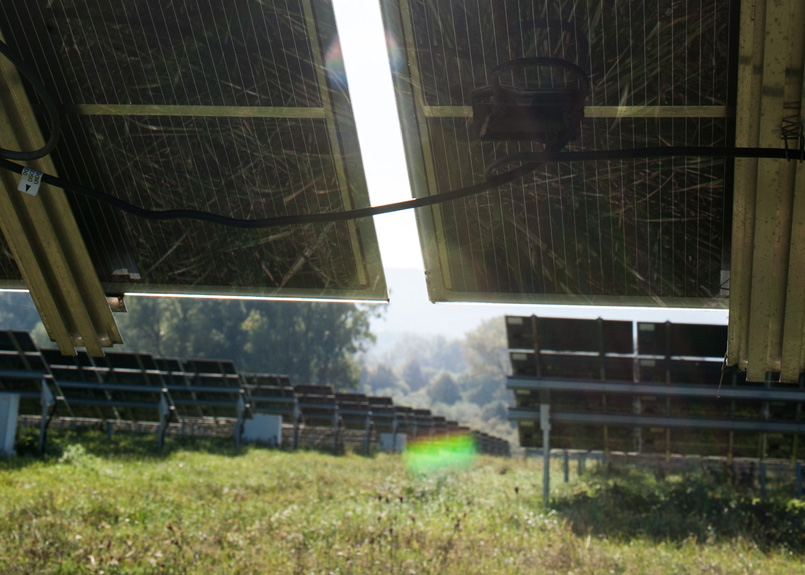 first image of the article