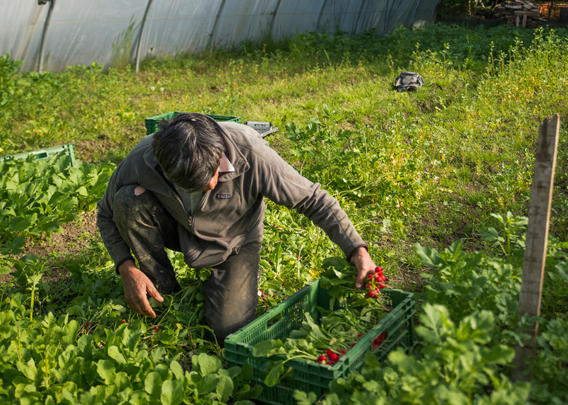 first image of the article