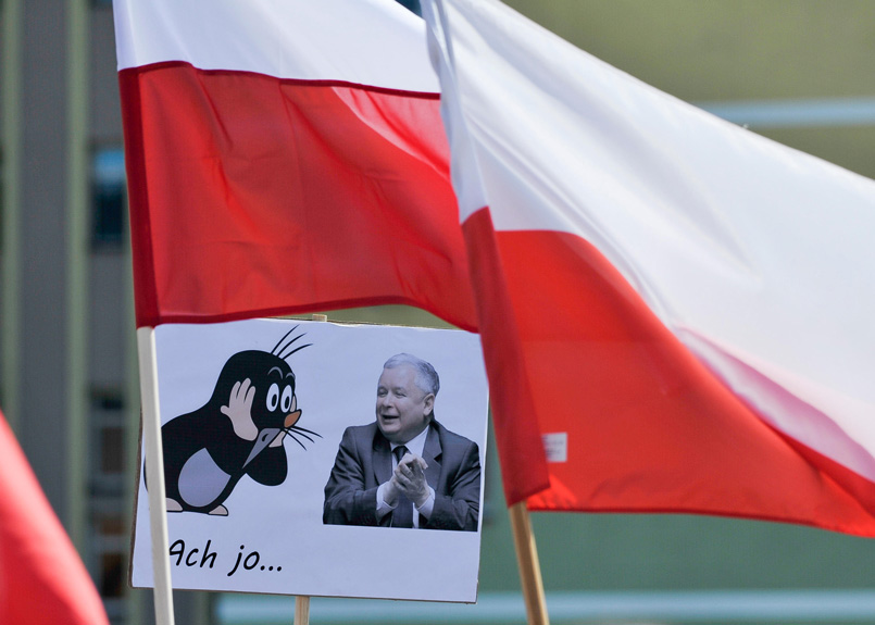 first image of the article